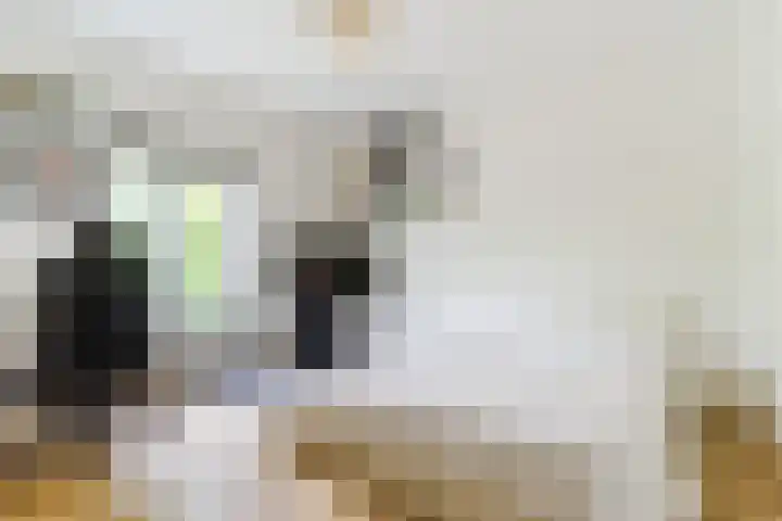 Papenvoort 3 Geldrop thumbnail 41