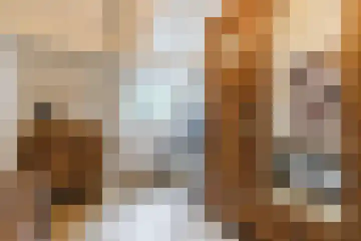 Papenvoort 3 Geldrop thumbnail 43