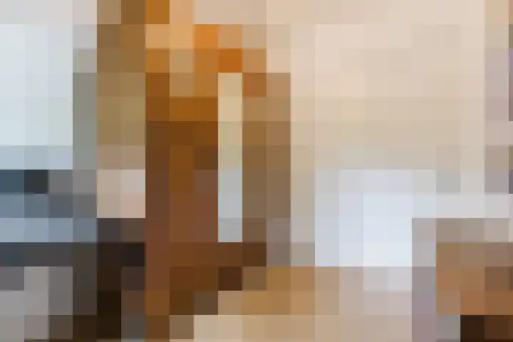 Papenvoort 3 Geldrop thumbnail 44