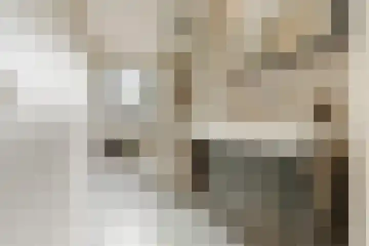 Papenvoort 3 Geldrop thumbnail 45