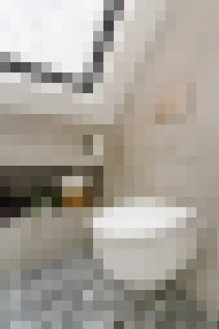 Papenvoort 3 Geldrop thumbnail 46