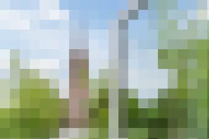Papenvoort 3 Geldrop thumbnail 48
