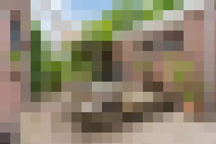 Papenvoort 3 Geldrop thumbnail 50