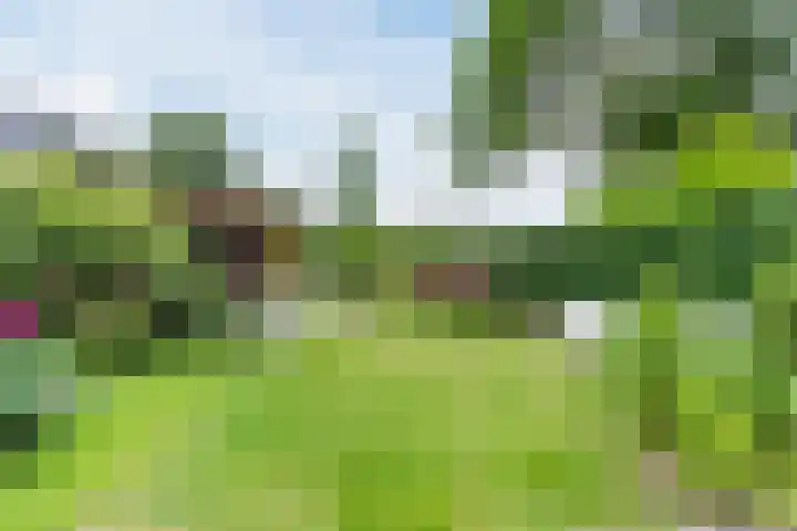 Papenvoort 3 Geldrop thumbnail 51