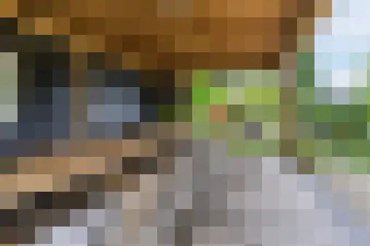 Papenvoort 3 Geldrop thumbnail 56