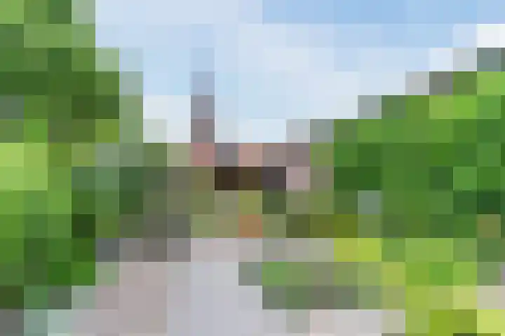 Papenvoort 3 Geldrop thumbnail 57