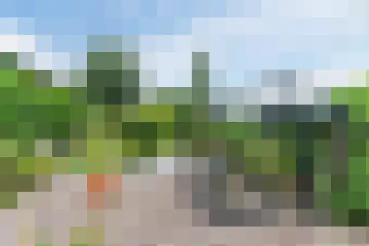 Papenvoort 3 Geldrop thumbnail 58