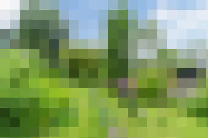 Papenvoort 3 Geldrop thumbnail 59