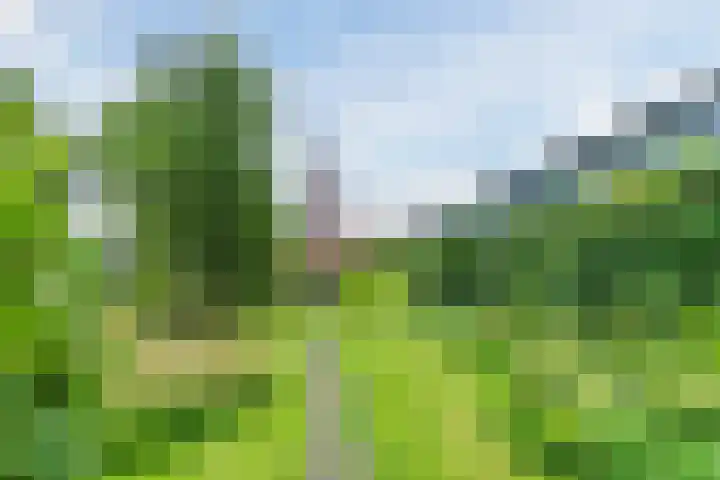 Papenvoort 3 Geldrop thumbnail 60