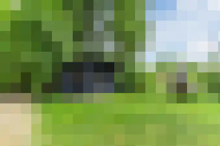 Papenvoort 3 Geldrop thumbnail 63