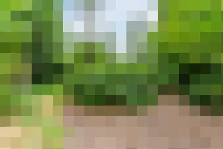 Papenvoort 3 Geldrop thumbnail 64
