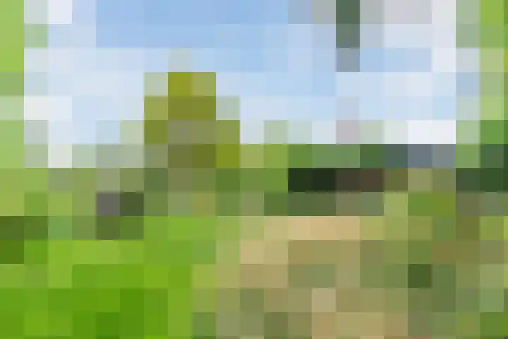 Papenvoort 3 Geldrop thumbnail 65