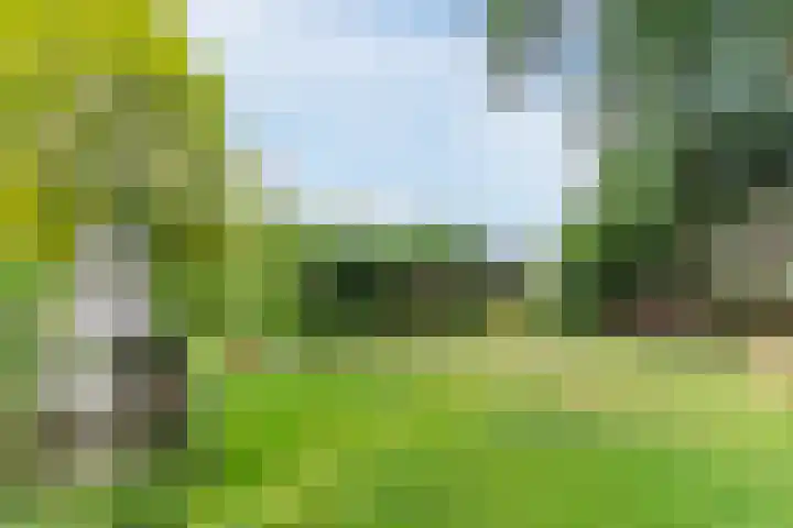 Papenvoort 3 Geldrop thumbnail 66
