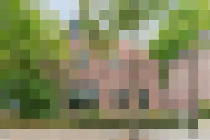 Papenvoort 3 Geldrop thumbnail 67