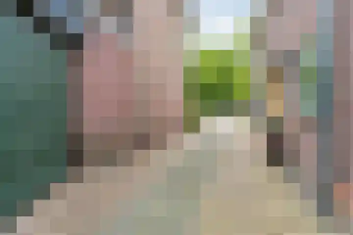 Papenvoort 3 Geldrop thumbnail 70