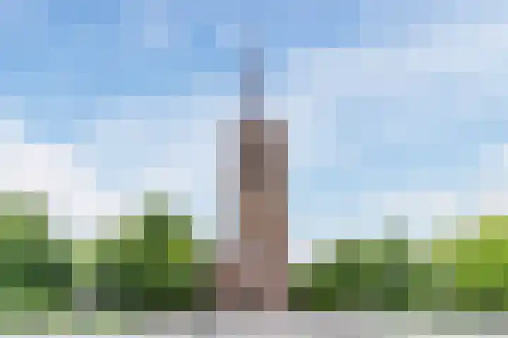 Papenvoort 3 Geldrop thumbnail 71