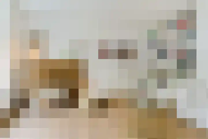 Papenvoort 3 Geldrop thumbnail 9