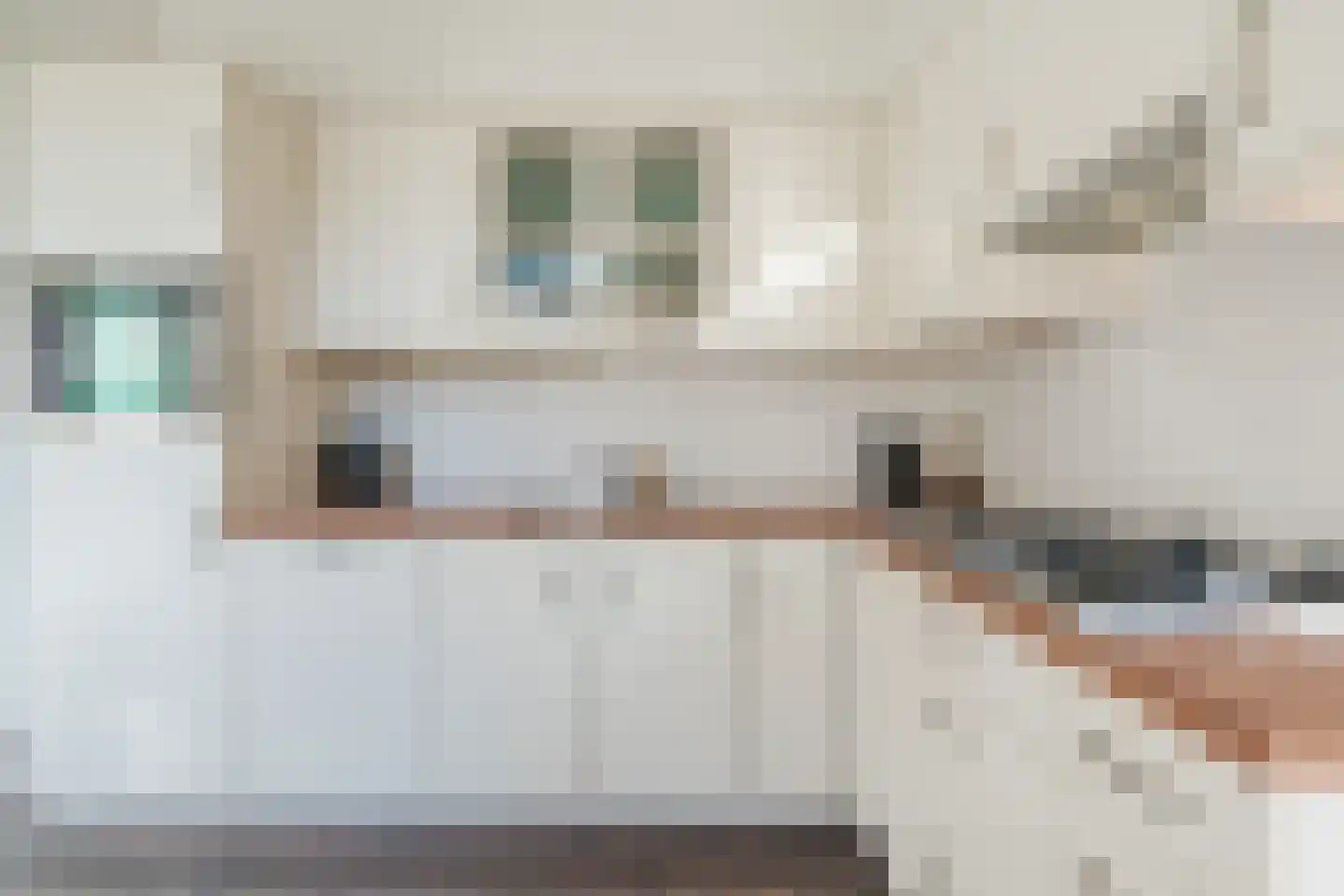 Papenvoort 46 Geldrop thumbnail 10