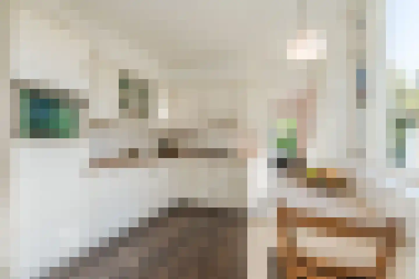 Papenvoort 46 Geldrop thumbnail 12