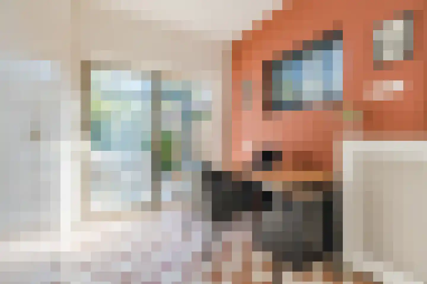 Papenvoort 46 Geldrop thumbnail 15