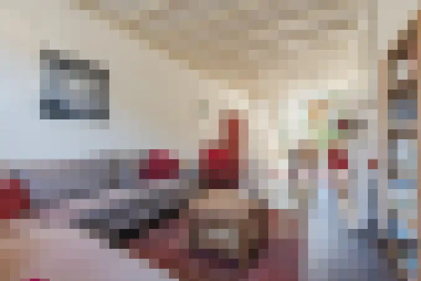 Papenvoort 46 Geldrop thumbnail 20
