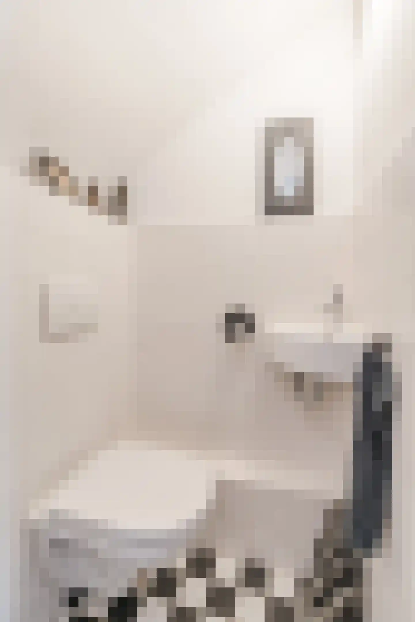 Papenvoort 46 Geldrop thumbnail 27