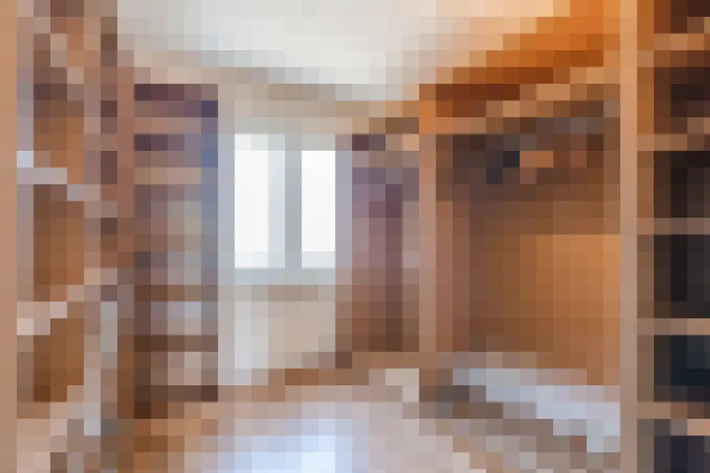 Papenvoort 46 Geldrop thumbnail 34