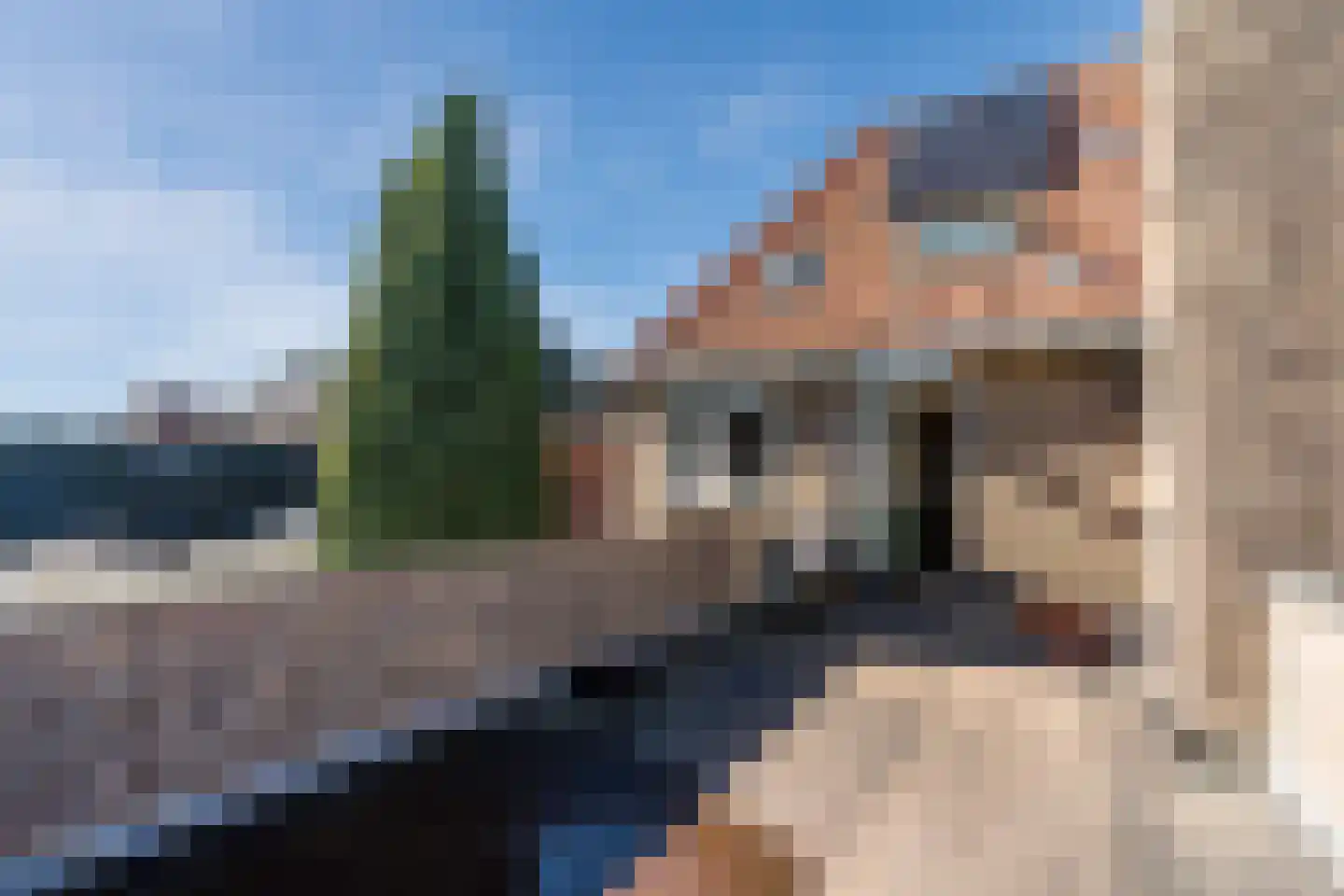 Papenvoort 46 Geldrop thumbnail 39