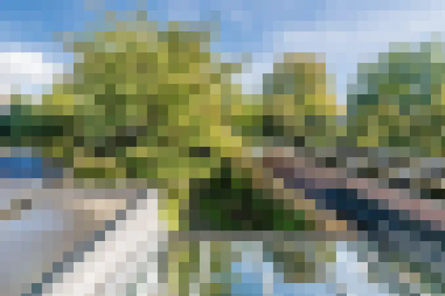 Papenvoort 46 Geldrop thumbnail 40