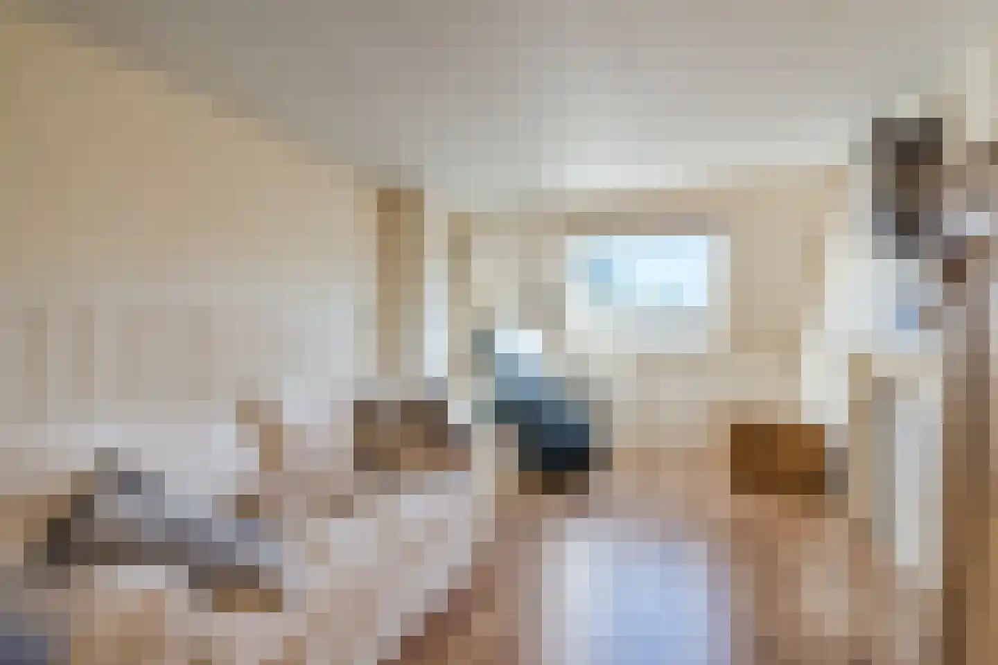 Papenvoort 46 Geldrop thumbnail 43