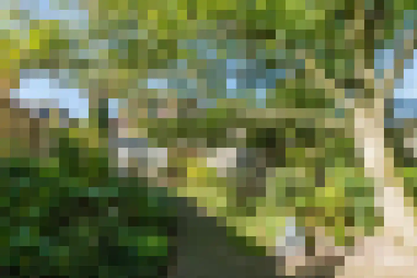 Papenvoort 46 Geldrop thumbnail 47