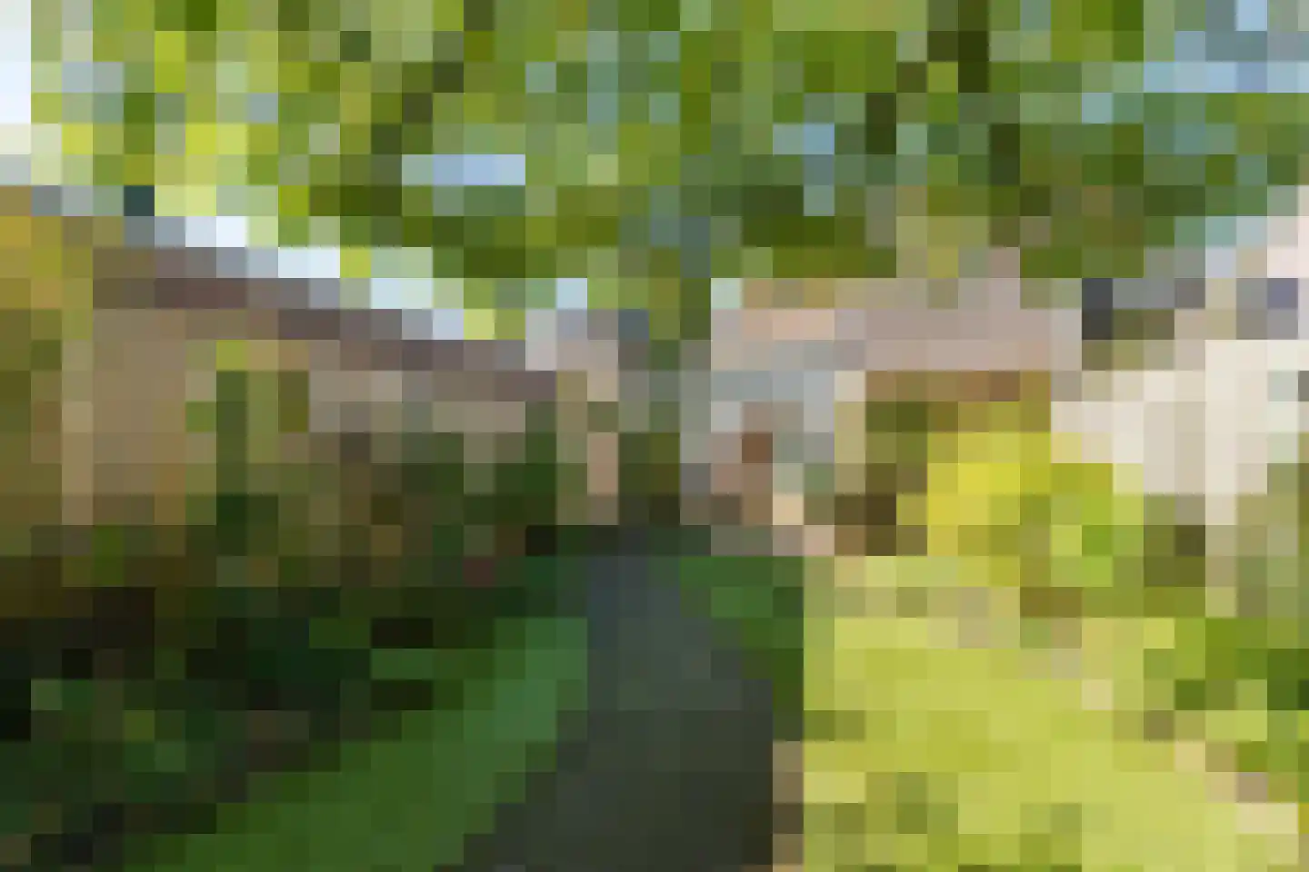 Papenvoort 46 Geldrop thumbnail 48