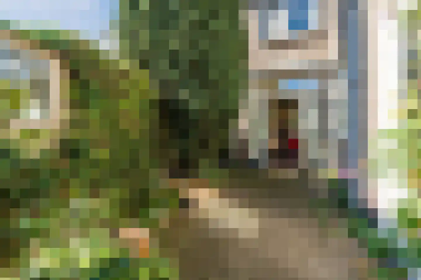 Papenvoort 46 Geldrop thumbnail 49