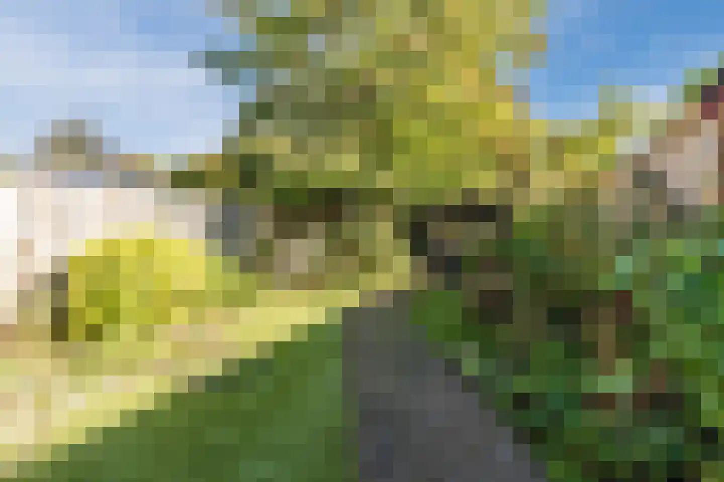 Papenvoort 46 Geldrop thumbnail 55