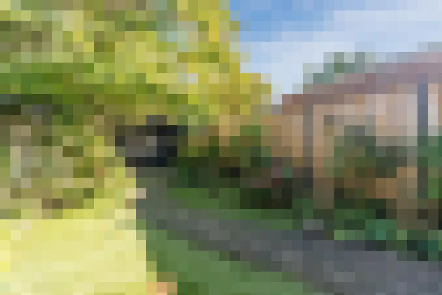 Papenvoort 46 Geldrop thumbnail 56