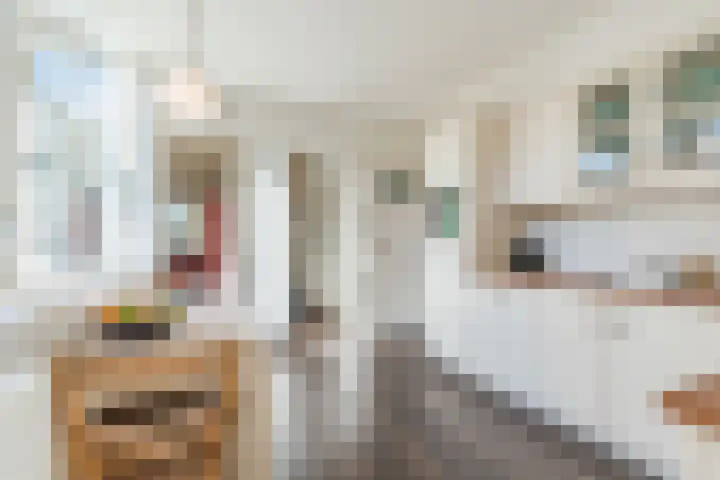 Papenvoort 46 Geldrop thumbnail 9
