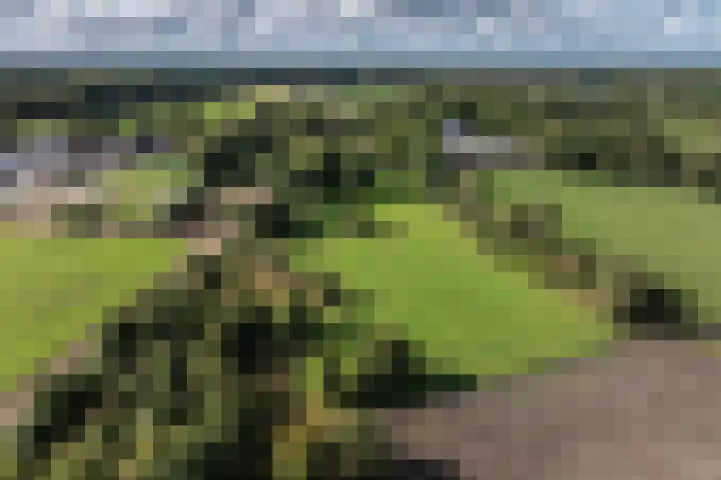 Papenvoort 7 Papenvoort thumbnail 100