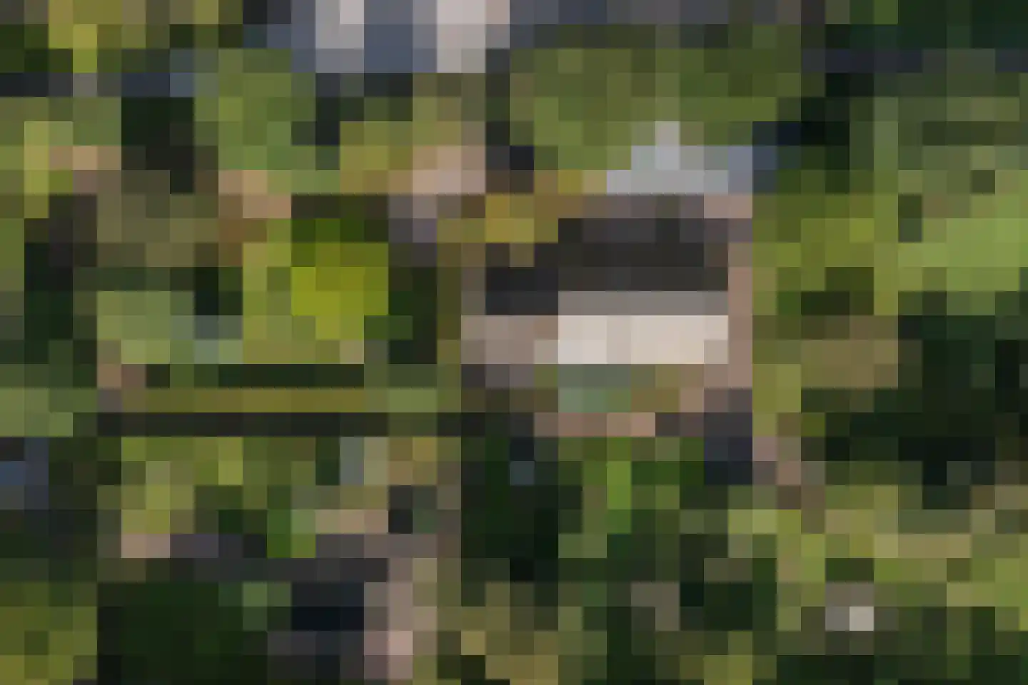 Papenvoort 7 Papenvoort thumbnail 101