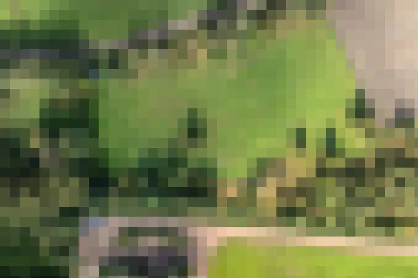 Papenvoort 7 Papenvoort thumbnail 102