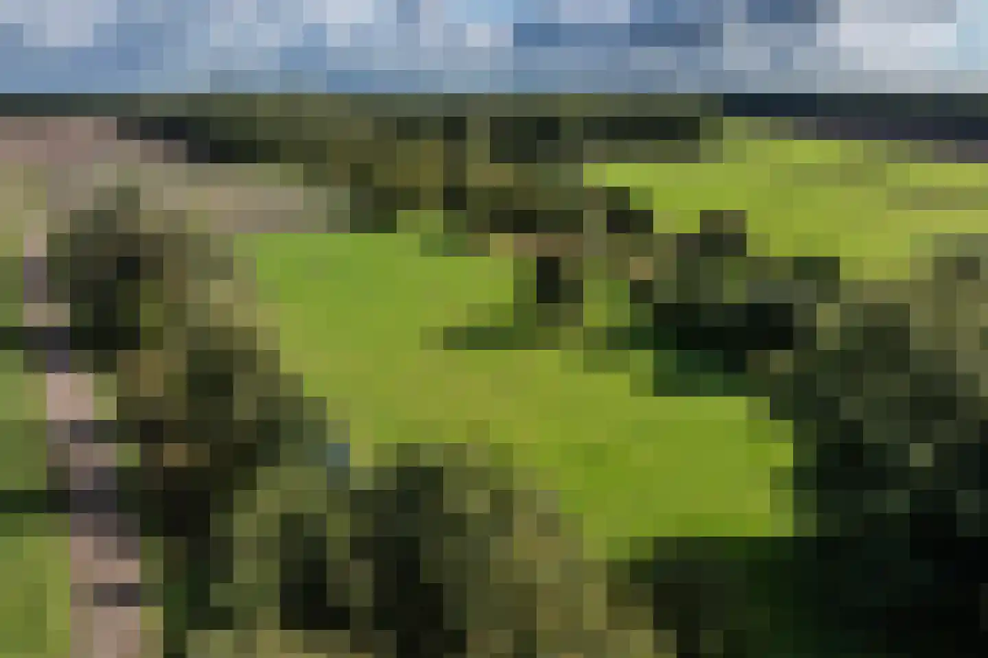 Papenvoort 7 Papenvoort thumbnail 103