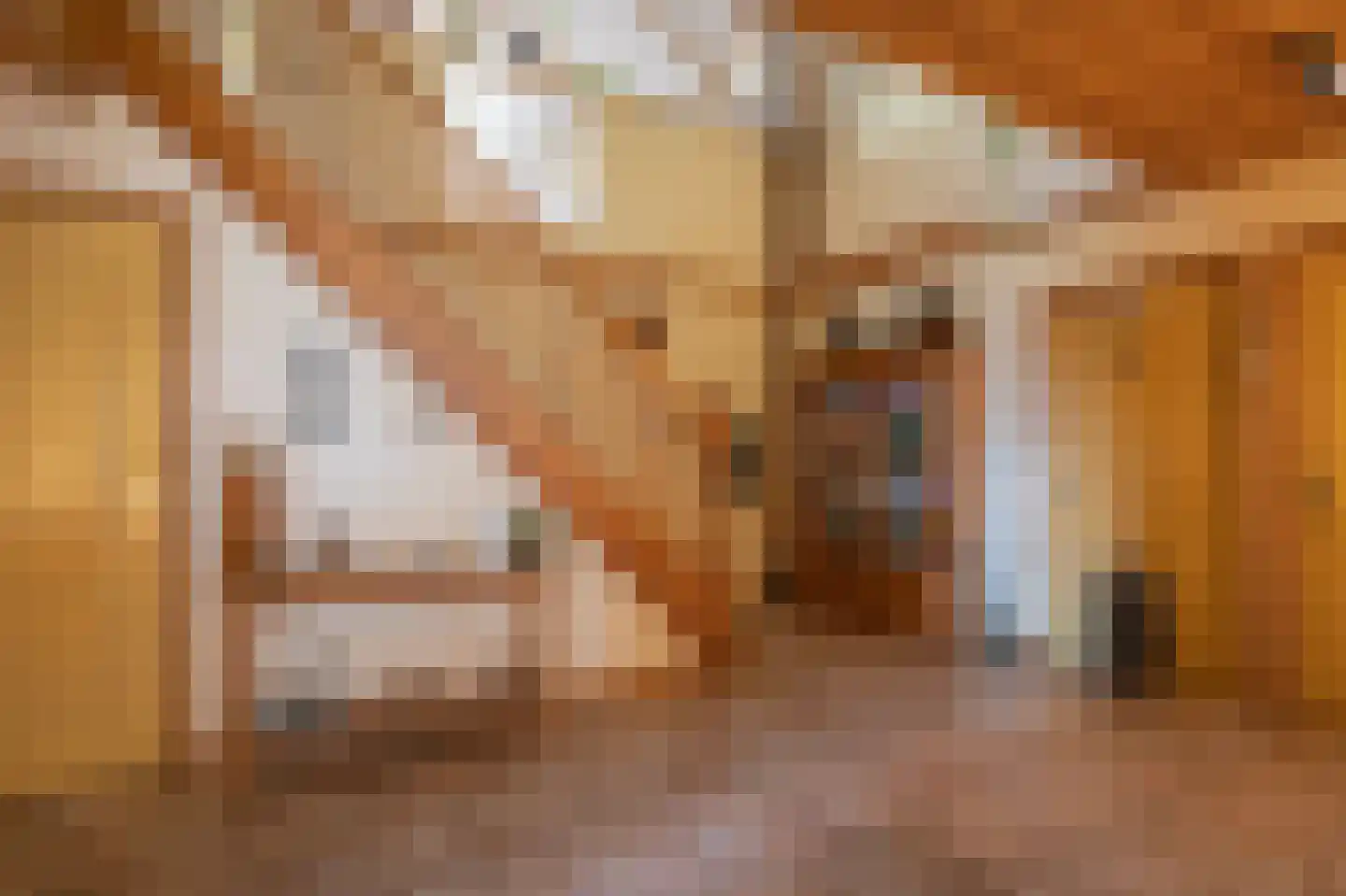 Papenvoort 7 Papenvoort thumbnail 13