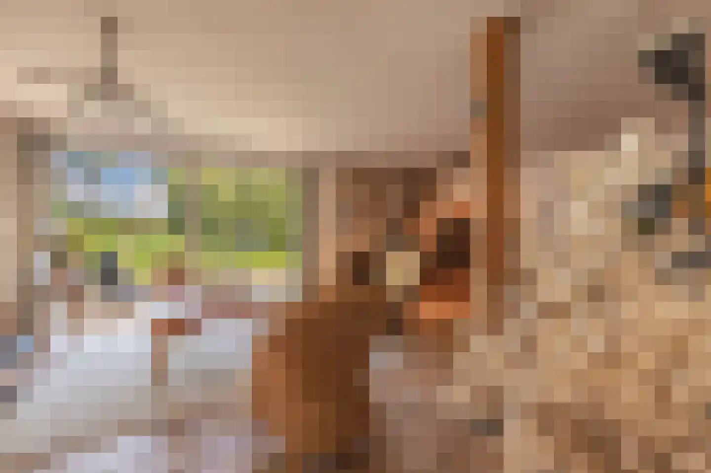 Papenvoort 7 Papenvoort thumbnail 22