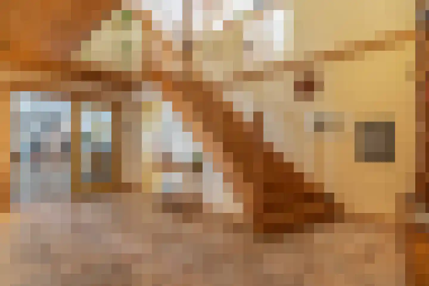 Papenvoort 7 Papenvoort thumbnail 25