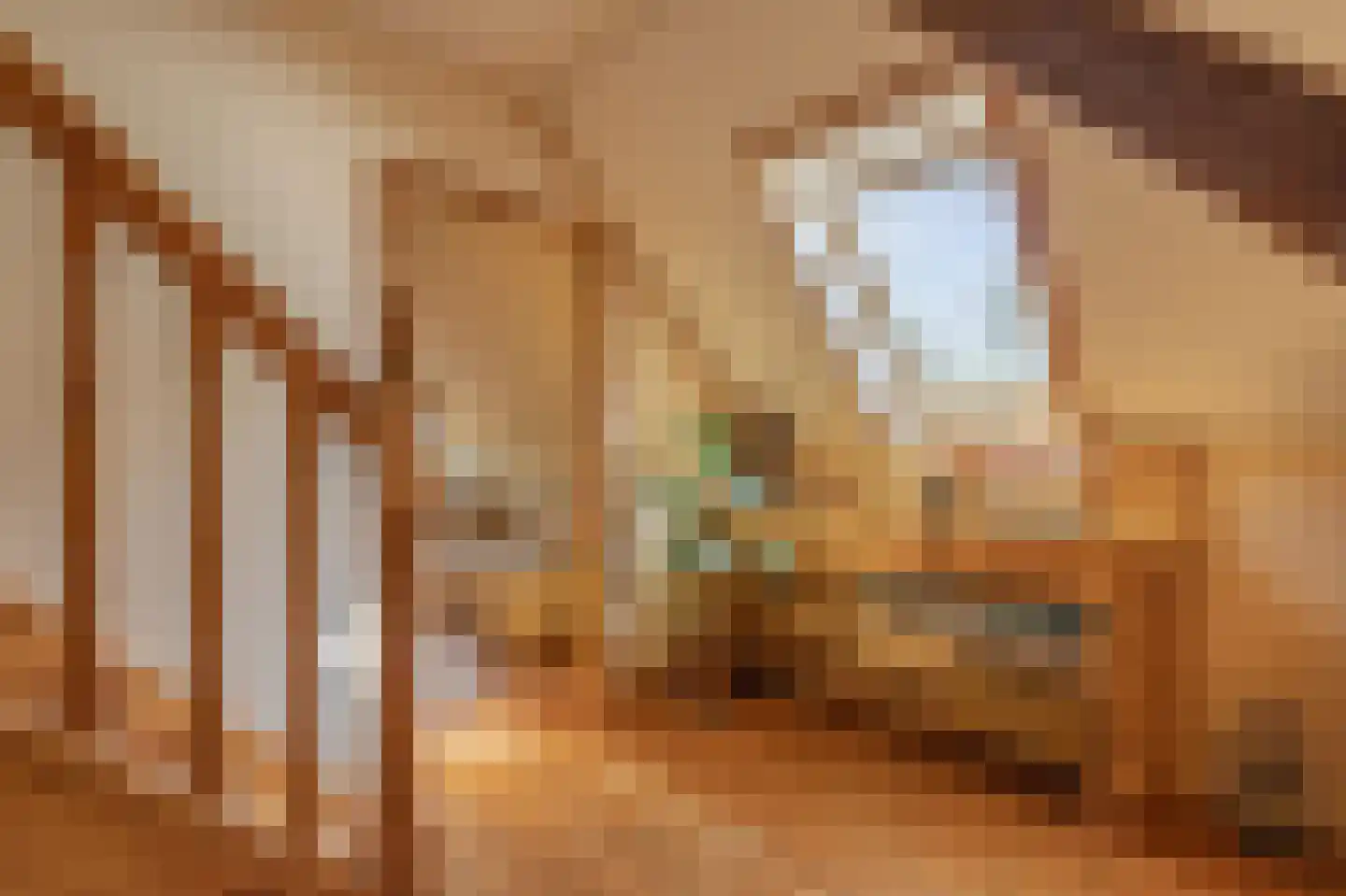 Papenvoort 7 Papenvoort thumbnail 26
