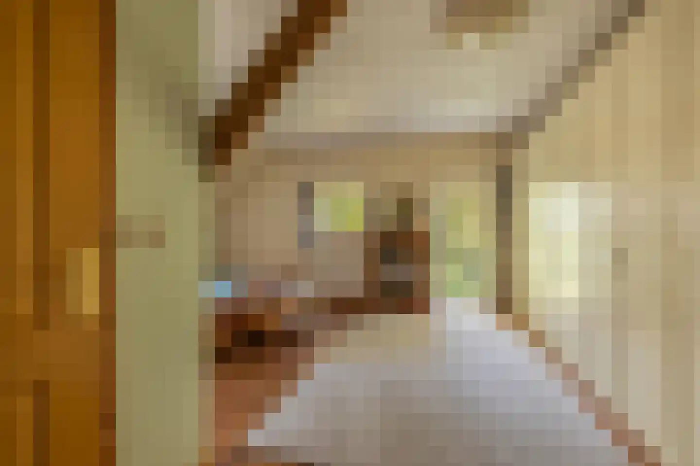 Papenvoort 7 Papenvoort thumbnail 29
