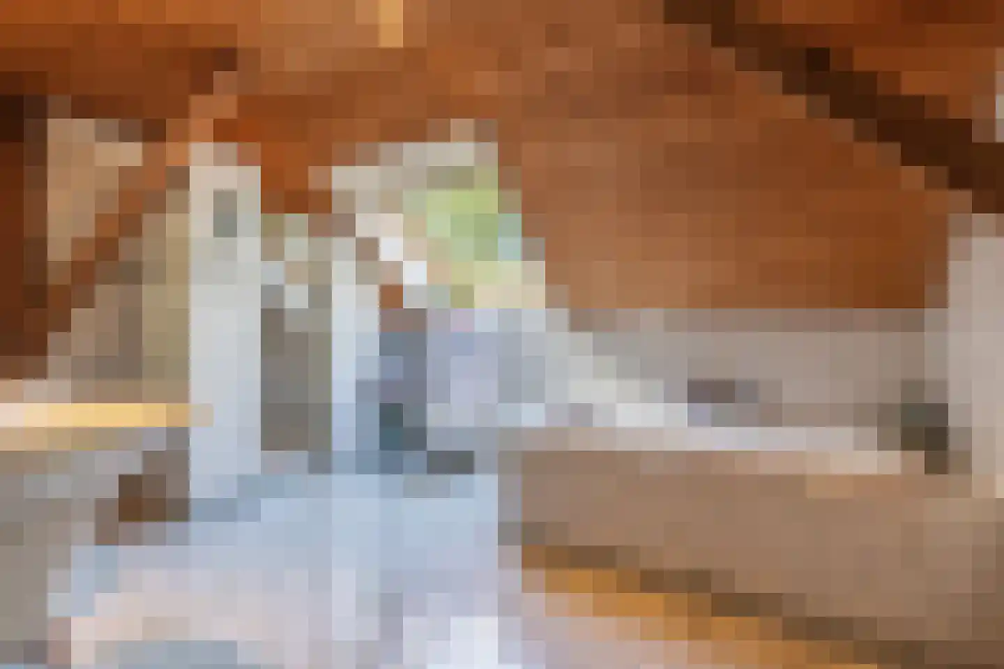 Papenvoort 7 Papenvoort thumbnail 32