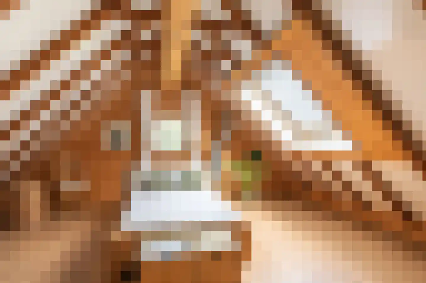 Papenvoort 7 Papenvoort thumbnail 41