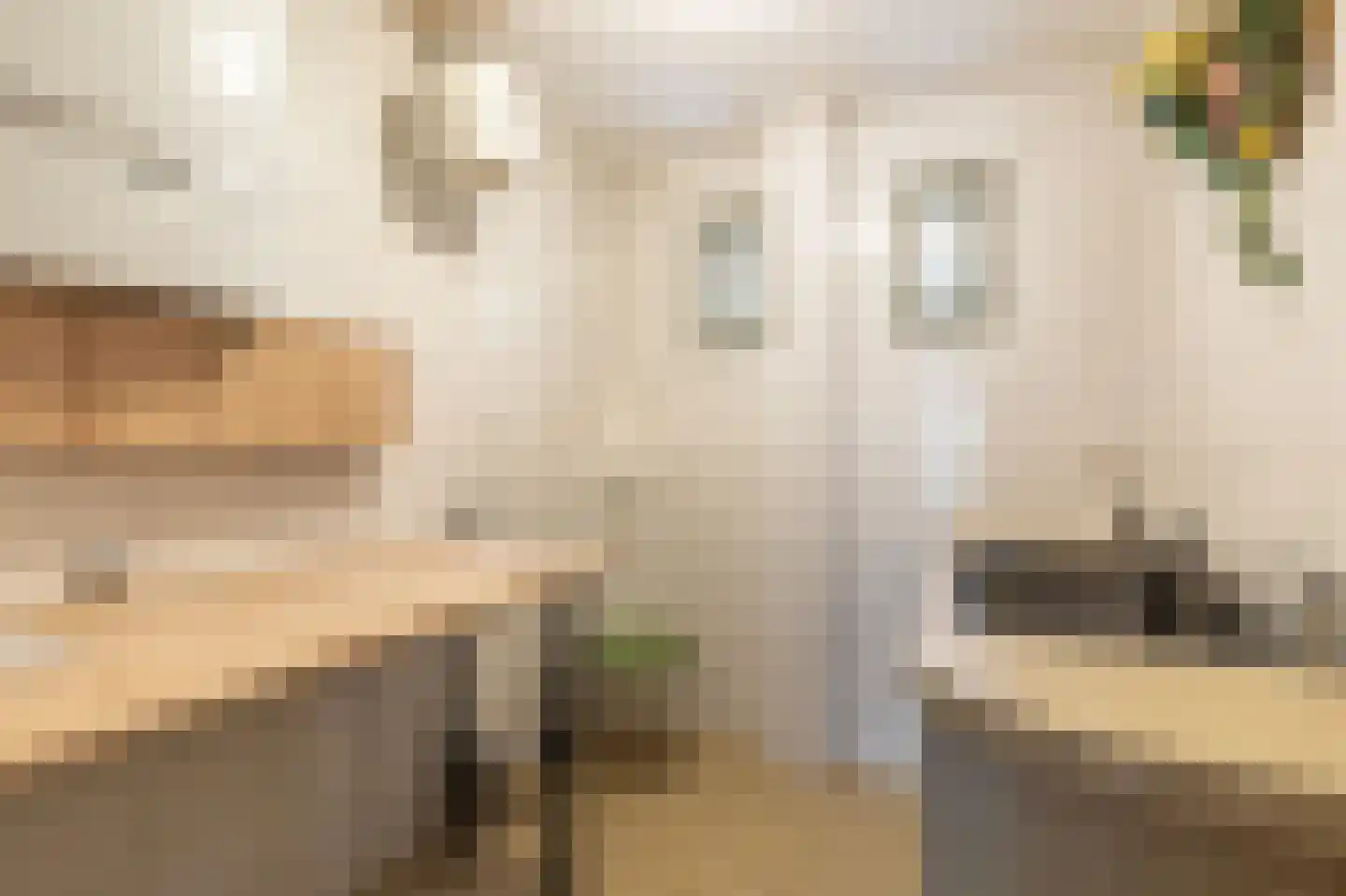Papenvoort 7 Papenvoort thumbnail 50
