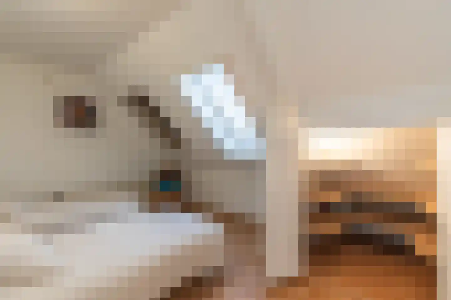 Papenvoort 7 Papenvoort thumbnail 54