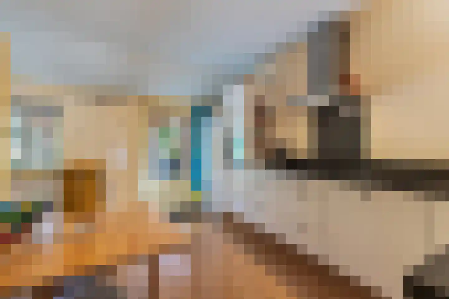 Papenvoort 7 Papenvoort thumbnail 59